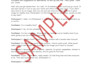 transcribe your audio, video, image files accurately
